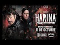 HARINA LA SERIE (SEGUNDA TEMPORADA) │ Trailer Oficial