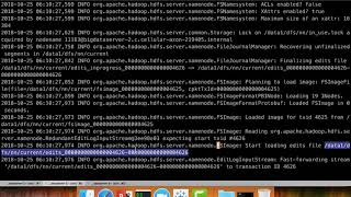 Cloudera Administration - Configure HDFS - Namenode Recovery process