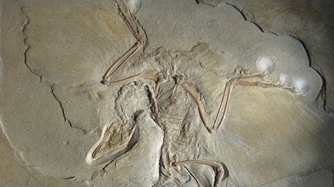 South Korea Striking Evolution From Textbooks After Campaign by Religious Group