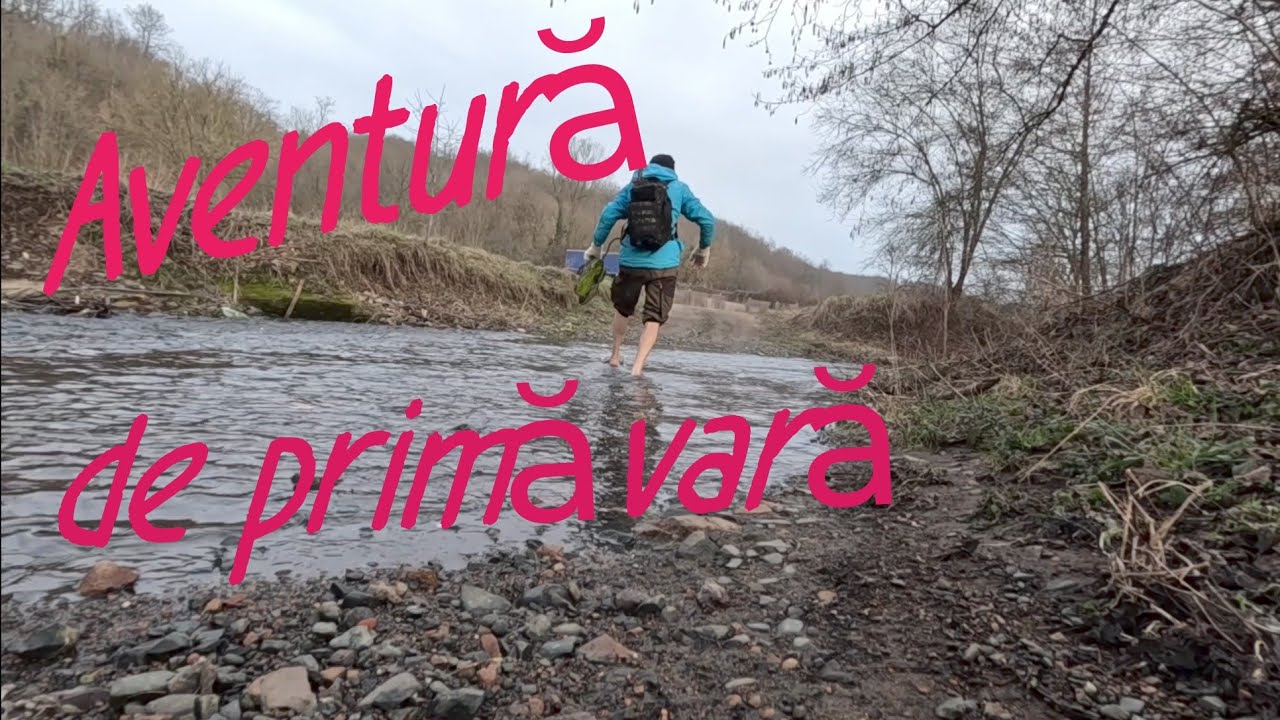 Călător pe aripile primăverii 