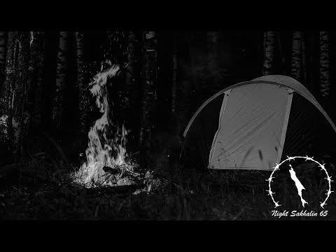 НЕ.KURILI - Наука