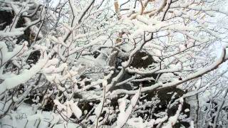 20111219