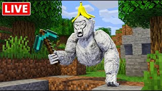 🔴 Gorilla Tagger Tries Minecraft Speedrunning 🔴