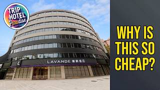 Lavande Hotel Shenzhen Bay Houhai Avenue - Why Is This So Cheap | Shenzhen, China🌟