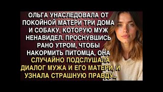 картинка: ОЛЬГА УНАСЛЕДОВАЛА ОТ ПОКОЙНОЙ МАТЕРИ ТРИ ДОМА И СОБАКУ, КОТОРУЮ МУЖ НЕНАВИДЕЛ  А ЕДВА ПРОСНУВ