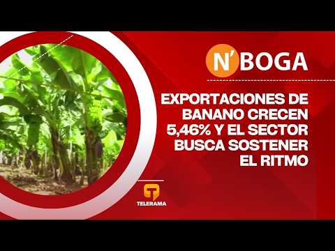 Exportaciones de banano crecen 5,46% y el sector busca sostener el ritmo