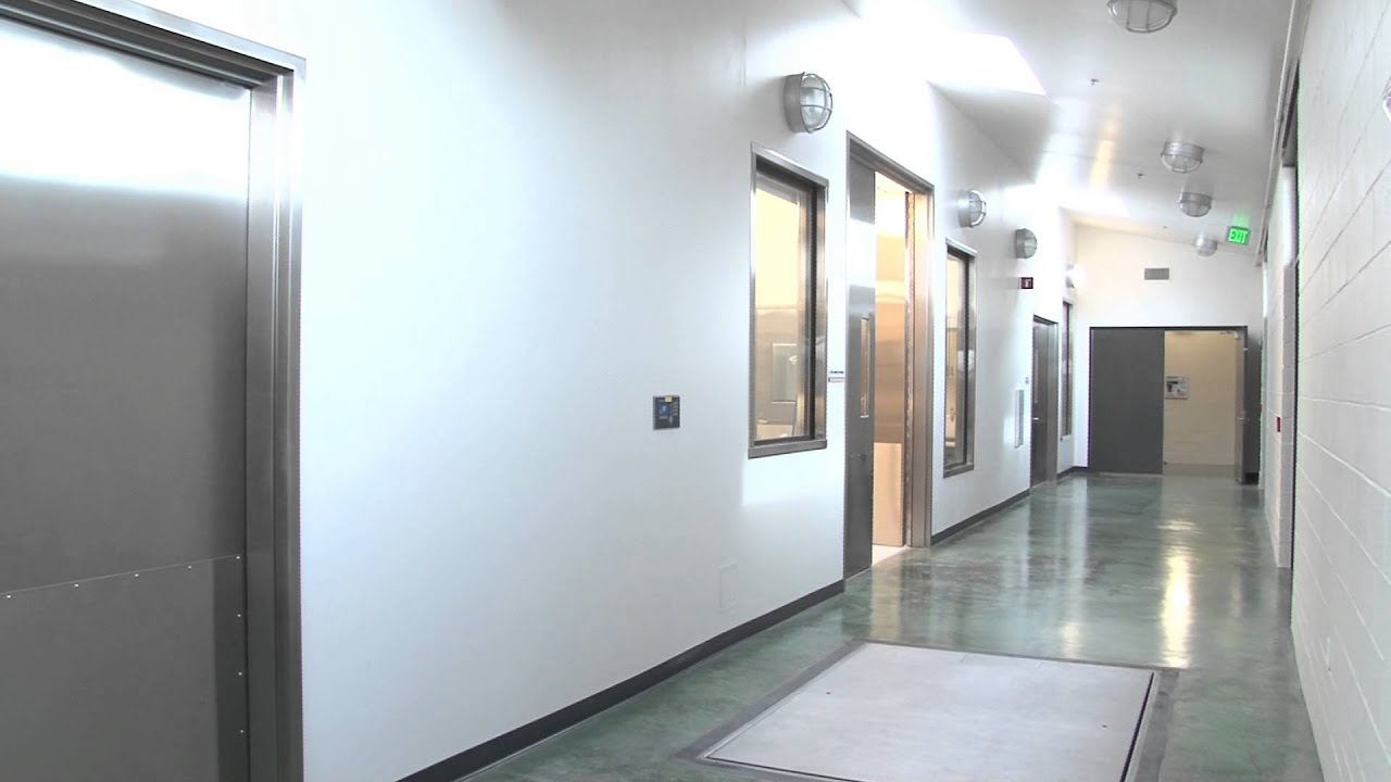 Behindthescenes at Oakland Zoo's Veterinary Hospital YouTube