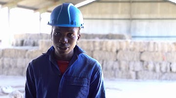 Manual Bush Control - Workers’ Footsteps