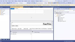 SSRS Page Wise Report
