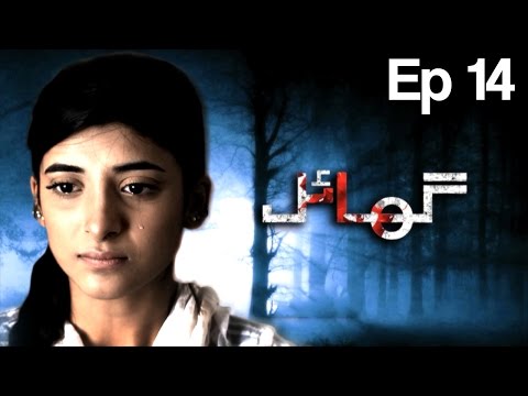 Ghayal (2017) — Episode 14