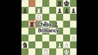 Can you guess why this move is brilliant? #chess #brilliantmove #chessislife #chessbrah
