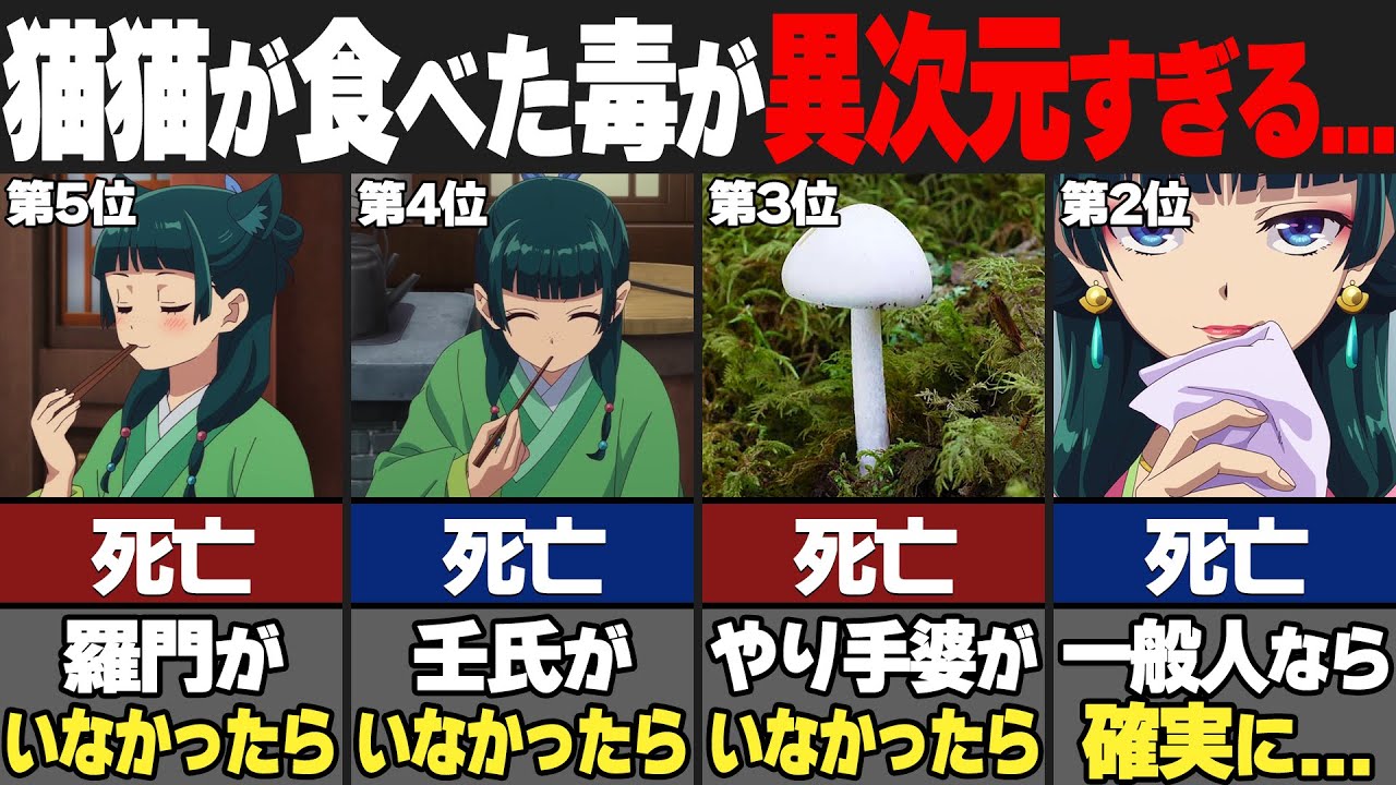 【薬屋のひとりごと】猫猫が食べた毒のヤバさランキングが衝撃的すぎる結果に...【ゆっくり解説】