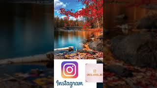 En İyi Zil Sesleri-Hareketli