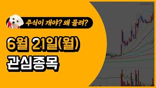 [웃지] 6월 21일 관심주 - 코리아써키트,하이트진로…