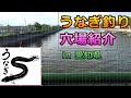 ウナギ釣り in 愛知県／うなぎ釣り場（穴場）の紹介