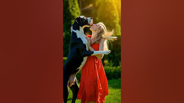 Dancing Puppy Deli 🐶😂 Cute Dog Shows Off Dance MovesDog Thinks He's A Baby 🐕🐕 #dog #golden #funny