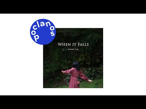 [Official Audio] Suwon Yim (임수원) - When It Falls (feat. Noam Tanzer)