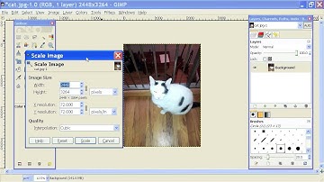 How to View DPI in GIMP