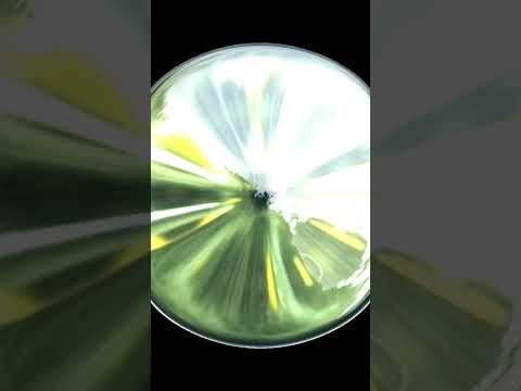 طريق اسيوط سوهاج الزراعي الشرقي مركز ساحل سليم محافظة أسيوط مصر اليوم طرق عاجل