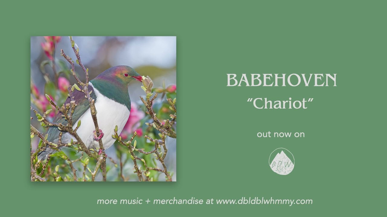Watch Babehoven - Chariot (Official Audio) on YouTube Watch Babehoven - Chariot (Official Audio) on YouTube