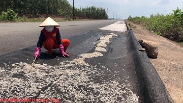 Đặc Sản Hồ Trị An – Gơi Nhớ Quê Hương Vlog