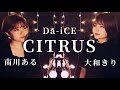 【女性が歌う】【フル歌詞付き】Da-iCE / CITRUS　(+2)(日本テレビ系日曜ドラマ「極主夫道」主題歌)cover by 南川ある&大和きり