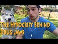 Alcohol Most Harmful Drug? | Drug Law Hypocrisy