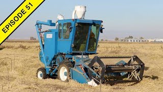 Cutest Little Harvester Youve Ever Seen!