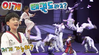 태권도의 성지라고? 4품에 간다는 태권도원에서 겨루기 대결 ! 버섯도리 Taekwondo