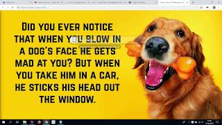 Best Funny Jokes HD Wallpaper & Background Theme For Fans!!! screenshot 3