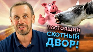 видео: ПАРАД ДИБИЛЬHЫX КОЛЛЕКТОРСКИХ КОНТОР! | БАНКРОТСТВО | Кузнецов | Аллиам картинка: ПАРАД ДИБИЛЬHЫX КОЛЛЕКТОРСКИХ КОНТОР! | БАНКРОТСТВО | Кузнецов | Аллиам