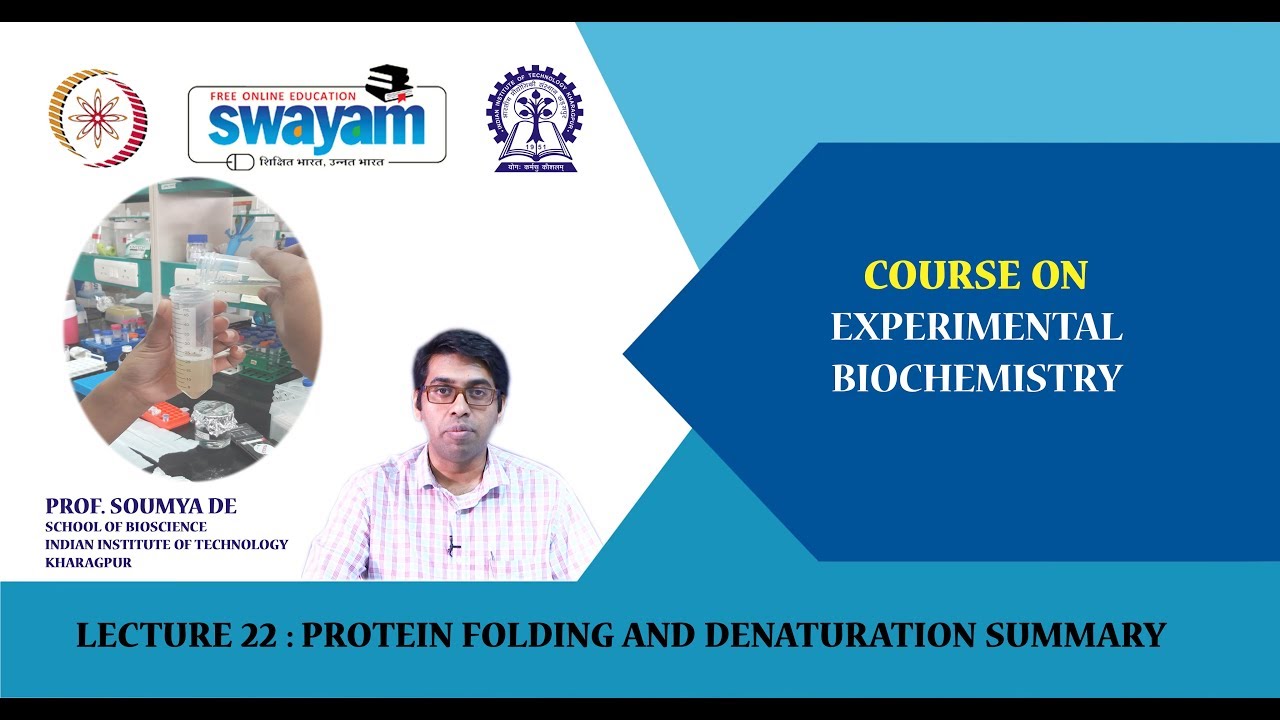 Lecture 22 : Protein Folding and Denaturation Summary camera iphone 8 plus apk
