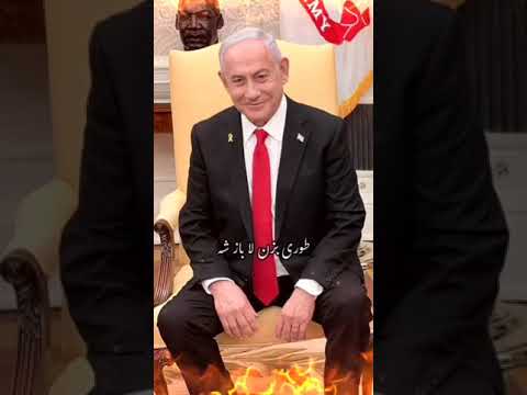 بی بی وقتو تلف نکن کتلت زیاد داریم جوری بزن سالاد بشه