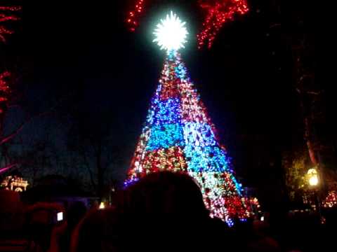 SDC Christmas Tree - Joy to the World