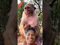 Funny Monkey viral video. 🤣🤣 #ytshorts #monkey #shorts
