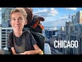 Disabled Gremlin Visits The Windy City