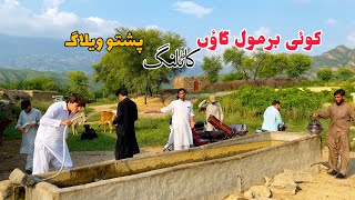 Kohi Barmol Village Vlog Katlang Vlog