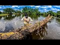 Una tarde pescando con arpón, poca visibilidad cuando atrapamos enorme...