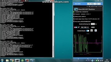 Real time  Muse EEG 2017 data transfer to laptop