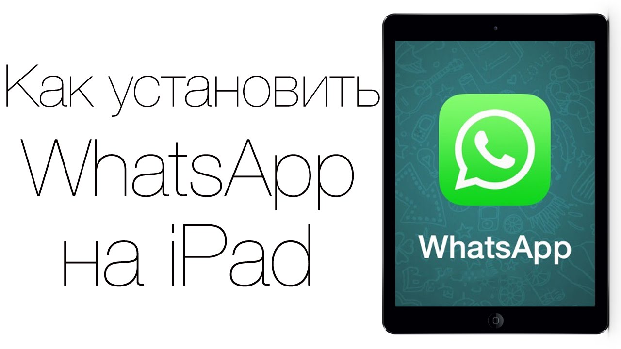 Можно установить ватсап на телефон. WHATSAPP как установить. WHATSAPP IPAD. WHATSAPP на планшете. Как установить WHATSAPP на IPAD.