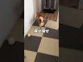 ママがいなくなった時の慌てよう