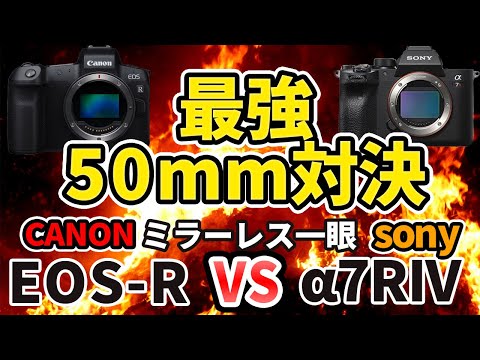 【作例対決】最強50mm単焦点対決 CANON EOS-R VS Sony α7RIV RF50mm F1.2 L USM VS Planar T* FE 50mm F1.4 ZA SEL50