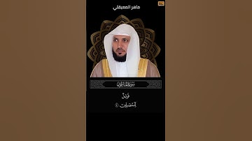 ماهر المعيقلي سورة الماعون آية 4 (فويل للمصلين) | Mahmoud Okasha