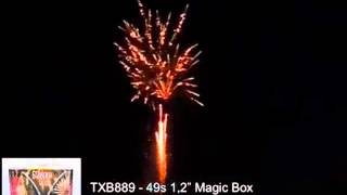 TXB889 FajerwerkiBiegun