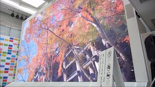 Presentation of 8K resolution display at NHK Studio Park, Shibuya