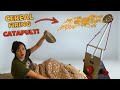 Cereal Catapult Alarm Clock Quiz