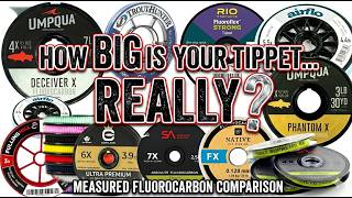 How Large is Your Fly-Fishing Tippet...REALLY?