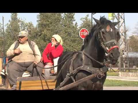 Video: Kako Odabrati Konja Za Ljuljanje