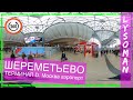 360° Москва Аэропорт ШЕРЕМЕТЬЕВО терминал D. (VR Video 360 градусов). Это не аквапарк и водные горки