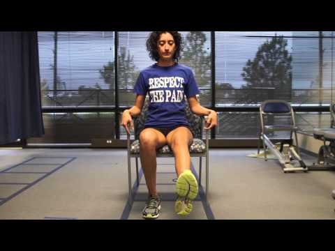 Back Stretching Exercise | Seated Sciatic Nerve Glides | Core Stretching Exercises Houston TX